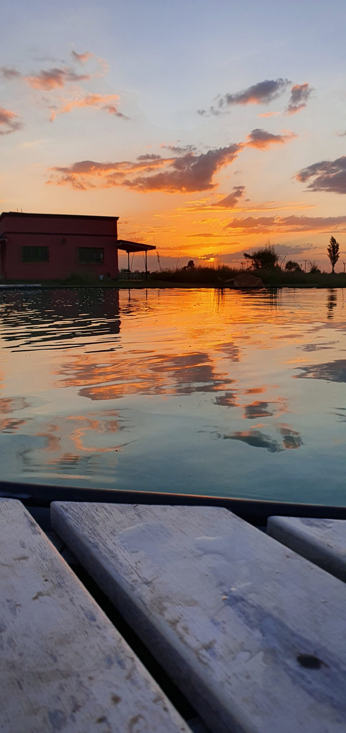 Casa en medio del campo